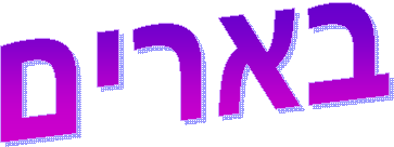 v:shapes="_x0000_s1025"